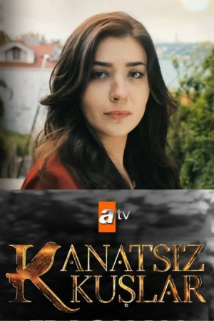 Птицы без крыльев - Kanatsiz Kuslar 23 серия (2017) смотреть онлайн турецкий сериал