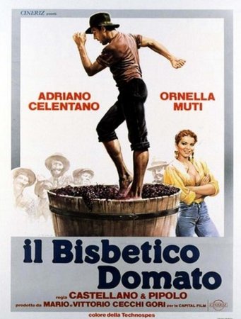 İnadkarın ram edilməsi - Il bisbetico domato (1980) Azerbaycan dublaj xarici kino izle